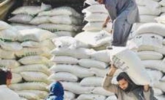 204 Flour mills are involved in creating a flour crisis, Food Department
