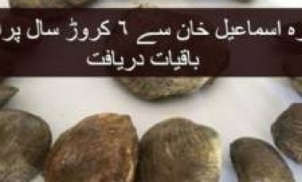 6 Crore years old Fossils Discovered in Khyber Pakhtunkhwa KPK