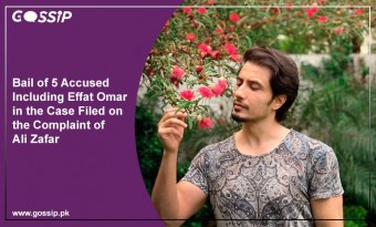Bail of 5 Accused Including Effat Omar in the Case Filed on the Complaint of Ali Zafar