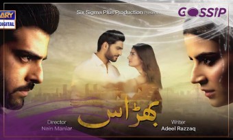 ARY Digital Drama Bharas Full Cast, Story, Timings, OST, Teaser and Reviews