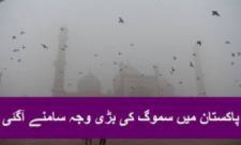 Experts Say the Cause of Air Pollution in Pakistan is local