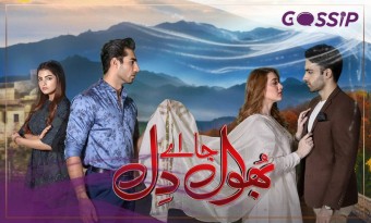 Hum TV Drama Bhool Ja Aye Dil – Reviews, Cast, OST, and Story
