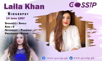 Laila Khan Biography, Date of Birth, Early Life, Career, and Fusion Songs