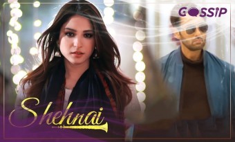 Shehnai Drama on ARY digital - Full Cast, Story, Timing, OST, and Reviews
