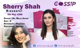 Sherry Shah Biography, age, Husband, Family, Sons, Dramas and Movies list