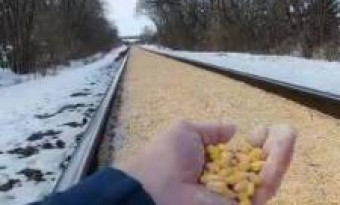 Issue of Two kilometer-long railway tracks packed with corn grains were resolved
