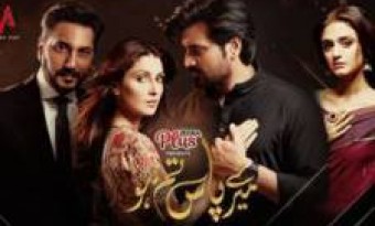 Watch the last episode of "Mere Pas Tum Ho"