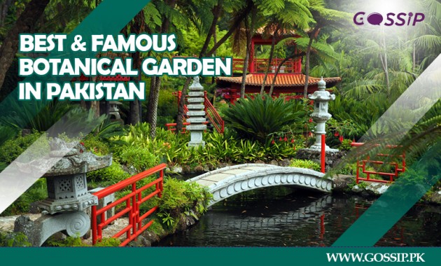 7-best-and-famous-botanical-garden-in-pakistan
