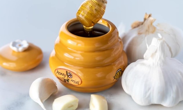 Black Seed Honey and Garlic Benefits