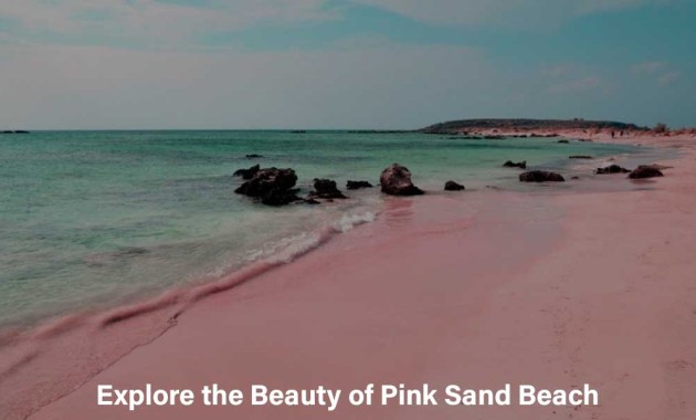explore-the-beauty-of-pink-sand-beach