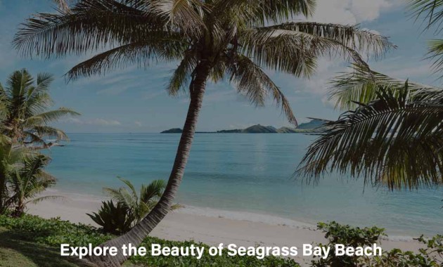explore-the-beauty-of-seagrass-bay-beach