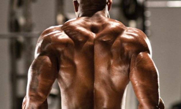 how-to-build-a-massive-back-gym-work-out