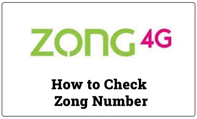 How to Check Zong Number?