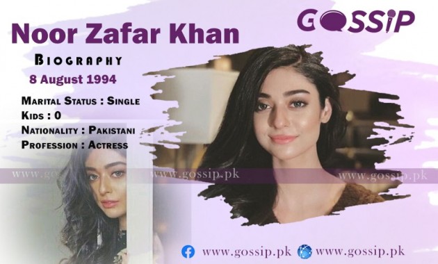 noor-zafar-khan-biography-dramas-career-age-mother-father-sister-husband