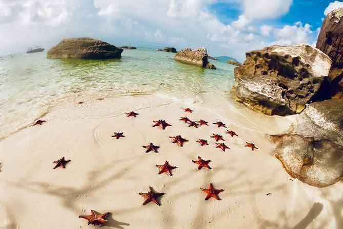Starfish Beach, Beach, Starfish