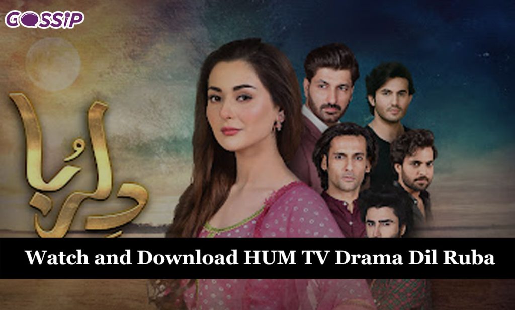 Watch and Download HUM TV Drama Dil Ruba